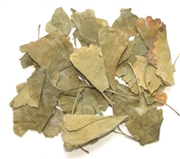 Gingko Biloba Capsules