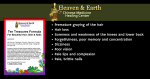 Twelve Treasures For Beautiful Skin, Hair & Nails Formula - Image 2