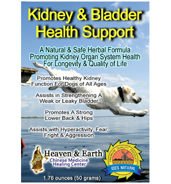 Kidney & Bladder Health Support Powder for Pets Main Web Image