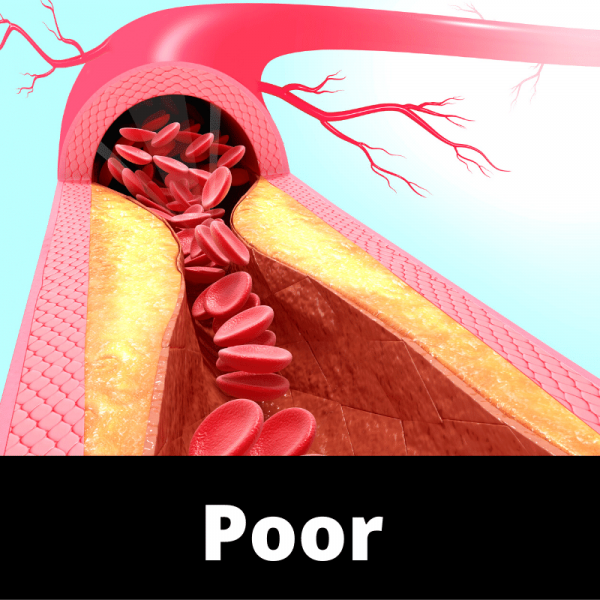 Poor Circulation Chinese Medicine Chinese Herbs
