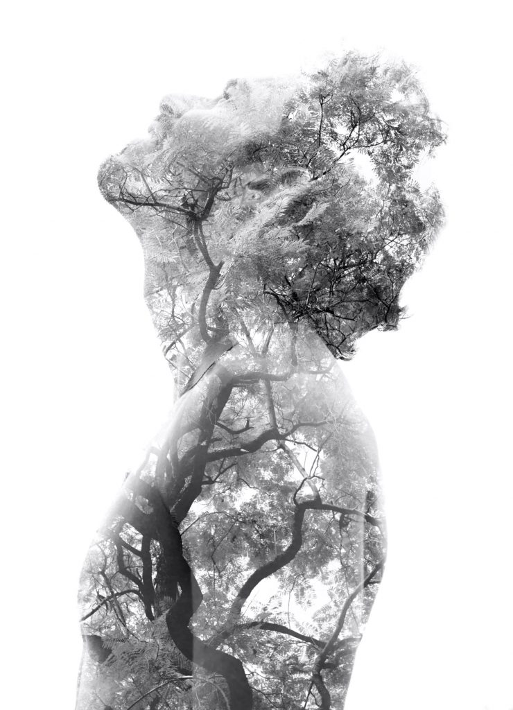 Man infused with tree nature looks up at sky