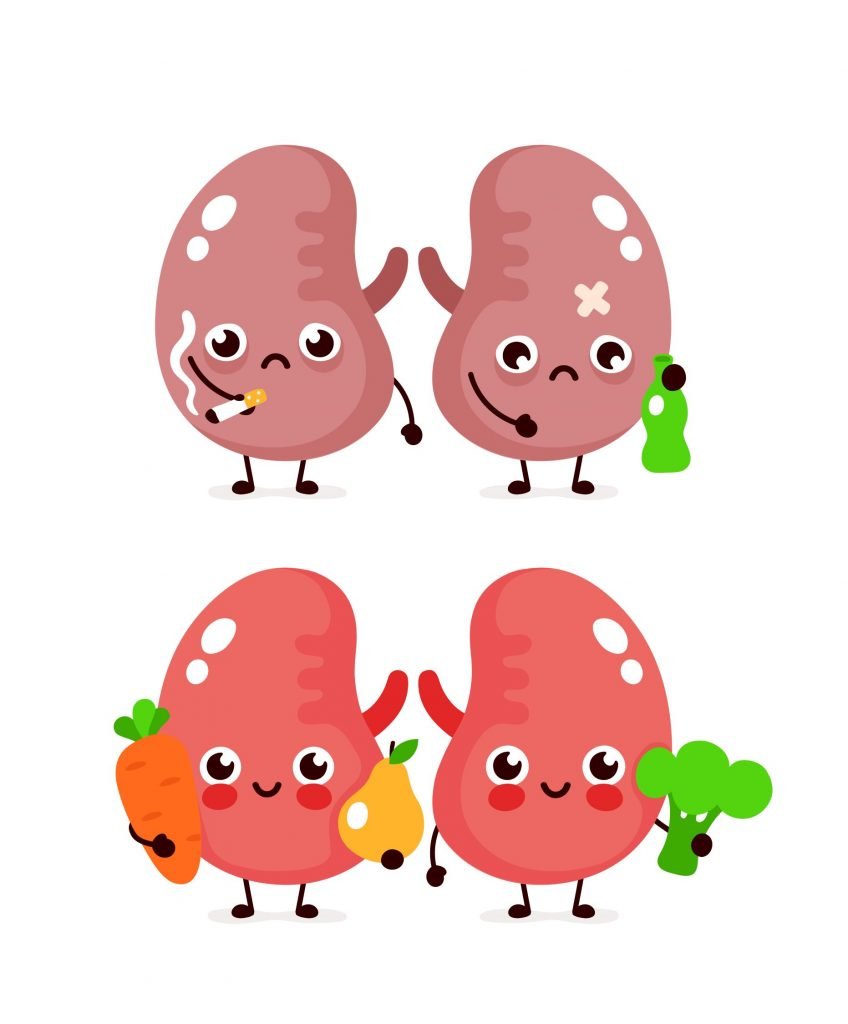 kidney pairs illustrated healthy unhealthy LG