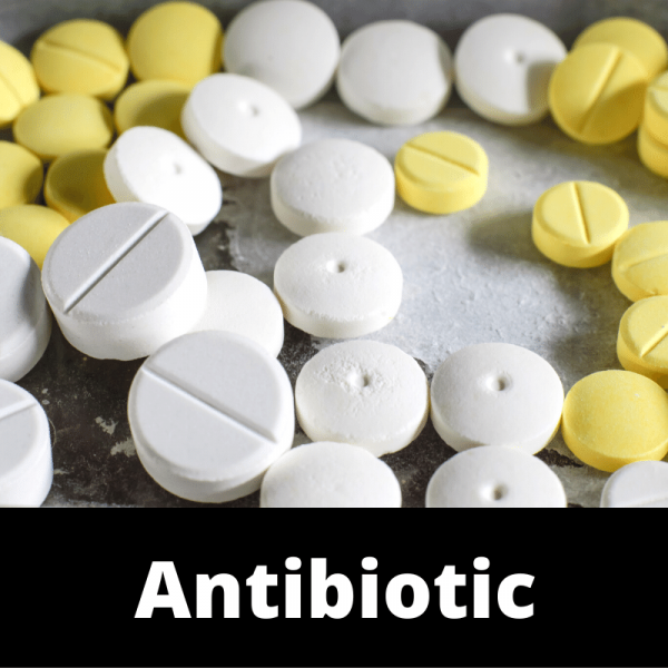 Main - Antibiotic - Antibiotic