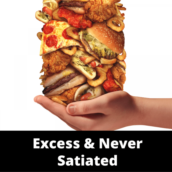 Main - Appetite - Excess & Never Satiated