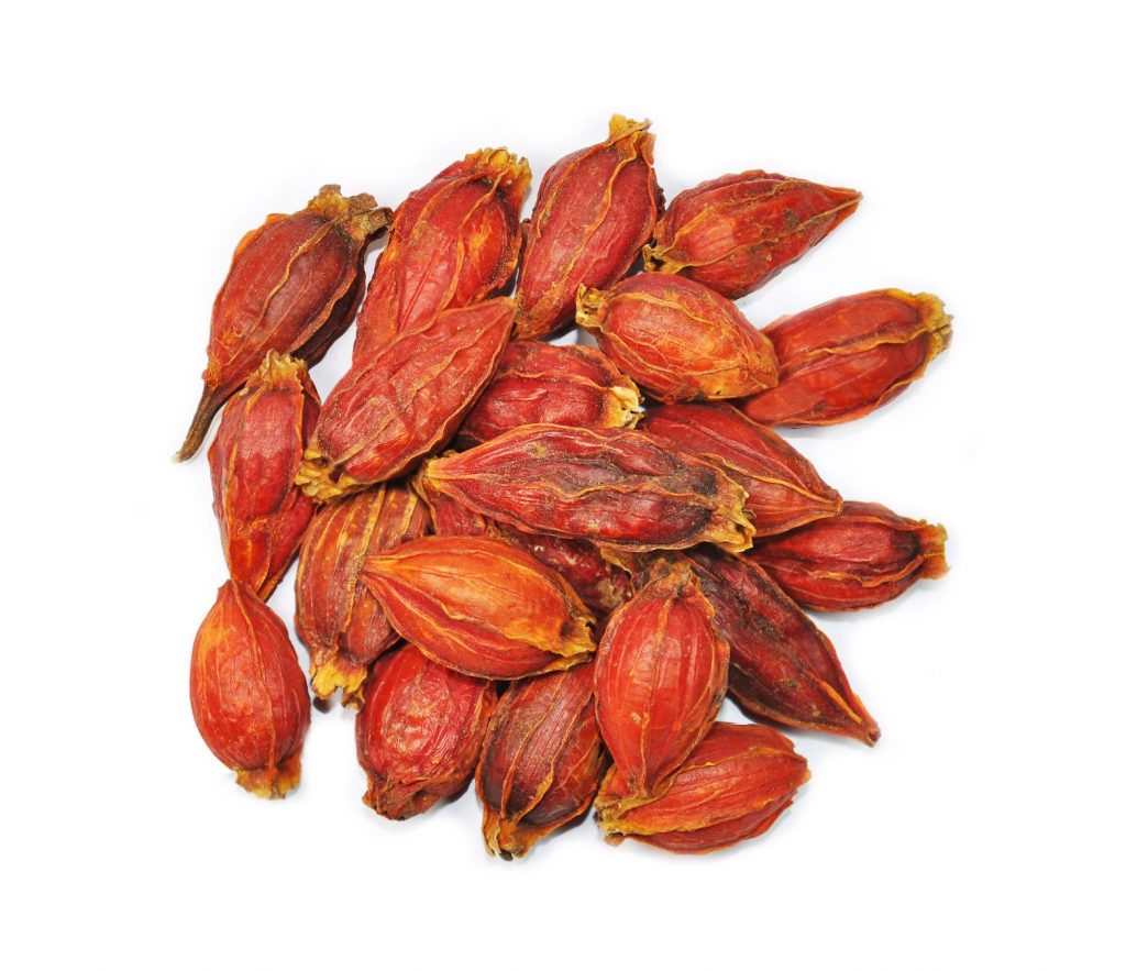 Chinese Herb Zhi Zi Gardenia Flower