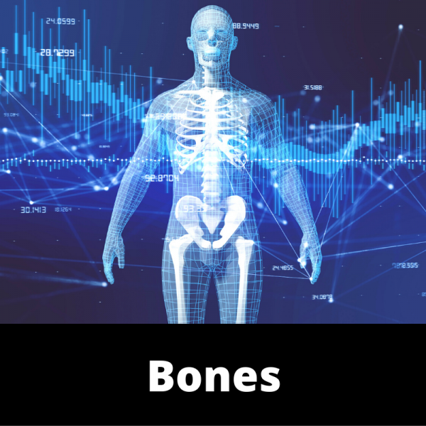 Bones - Main Image - Ailments Images