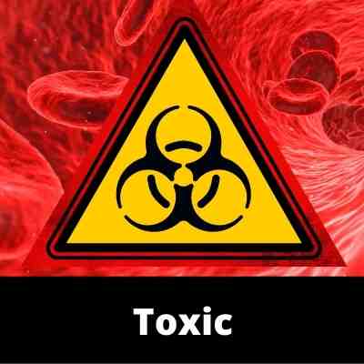 Blood - Toxic - Sub Categories - Ailments Images