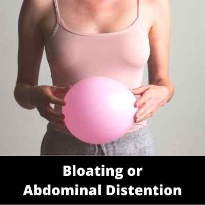 Digestion - Bloating - Subcategories - Ailments Images