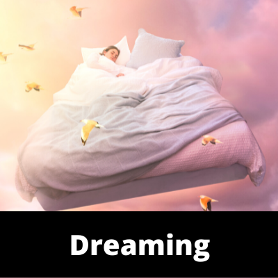 Dreaming - Main Image - Ailments