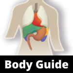 Body Guide Category Picture