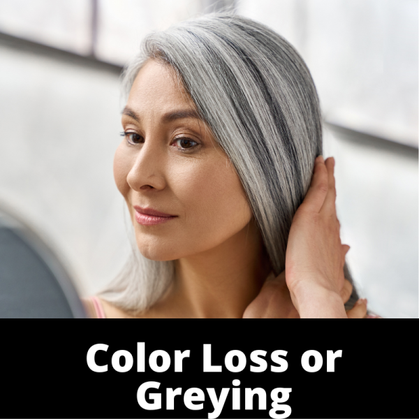 Color Loss or Greying - Hair - Subcategories - Ailments Images