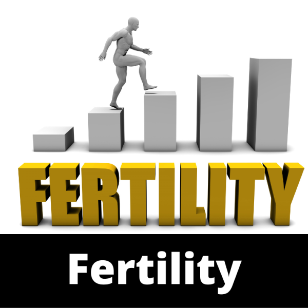 Fertility - Main Image - Ailments Images