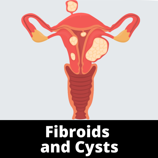 Fibroids and Cysts - Menstruation - Ailments Images - Chinese Herbs
