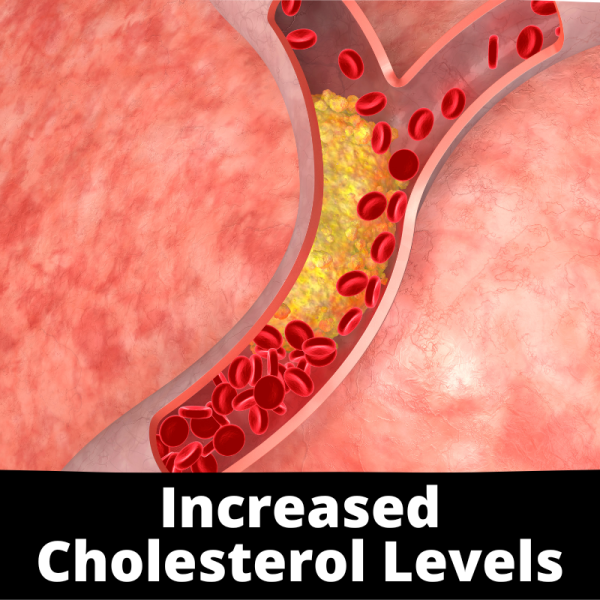 Increased Cholesterol Levels - Chinese Herbs