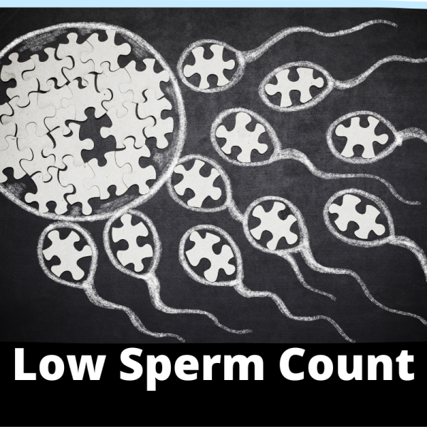 Low Sperm Count - Sub Categories - Ailments Images