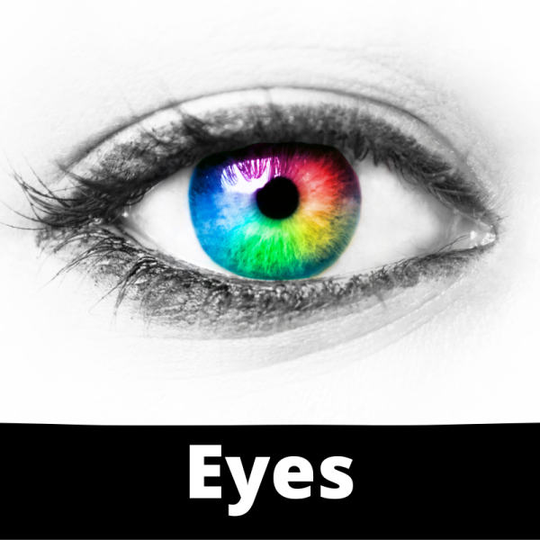 Main Category -Ailments Images - Eyes