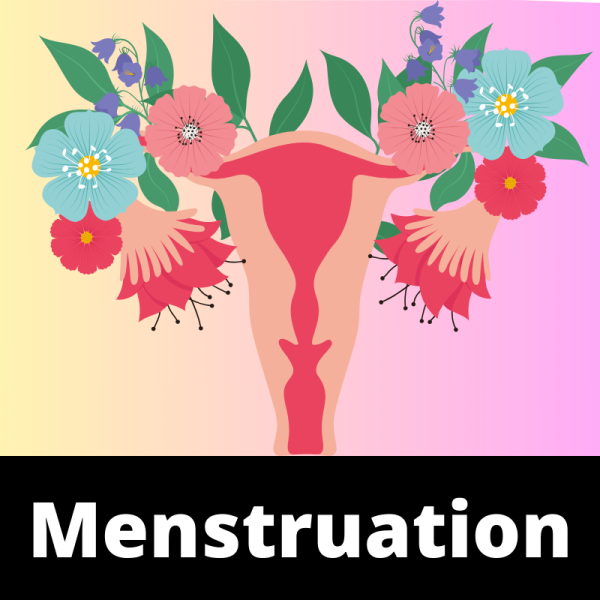Menstruation - Ailments Images - Chinese Herbs