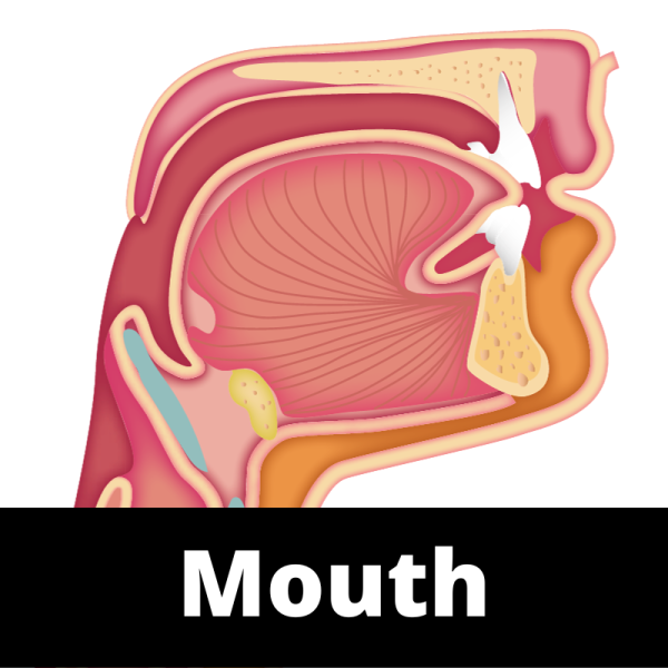 Mouth - Ailments Images - Chinese Herbs