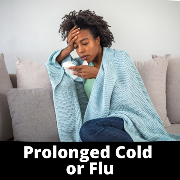 Prolonged Cold or Flu- Immune - Chinese Herbs