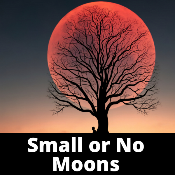 Small or No Moons - Nails Subcategory - Ailments Images - Chinese Herbs