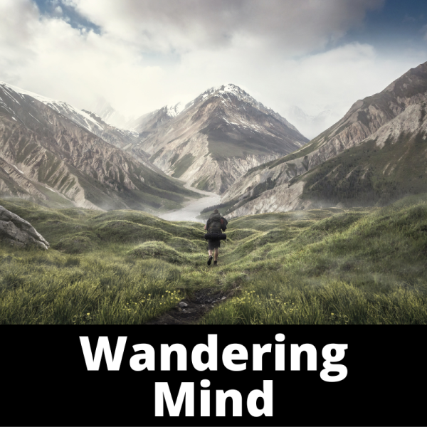 Wandering Mind - Mind - Ailments Images - Chinese Herbs