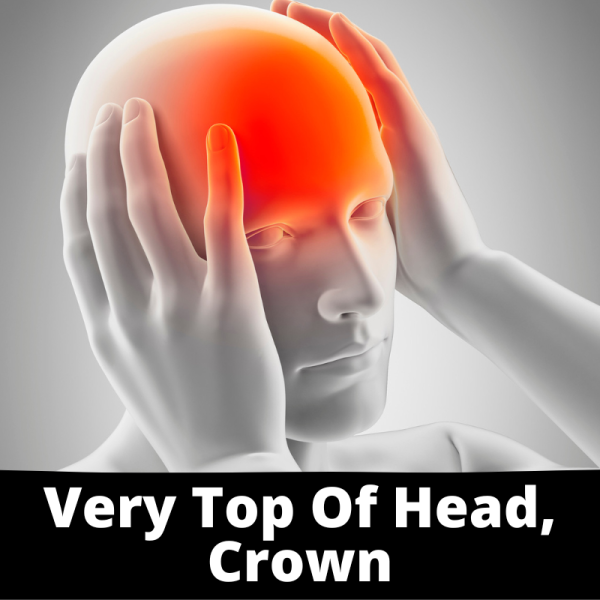 Very Top of Head, Crown - Sub Categories - Ailments Images