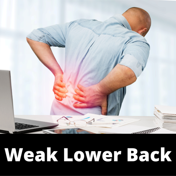 Weak Lower Back - Ailments Images - Chinese Herbs