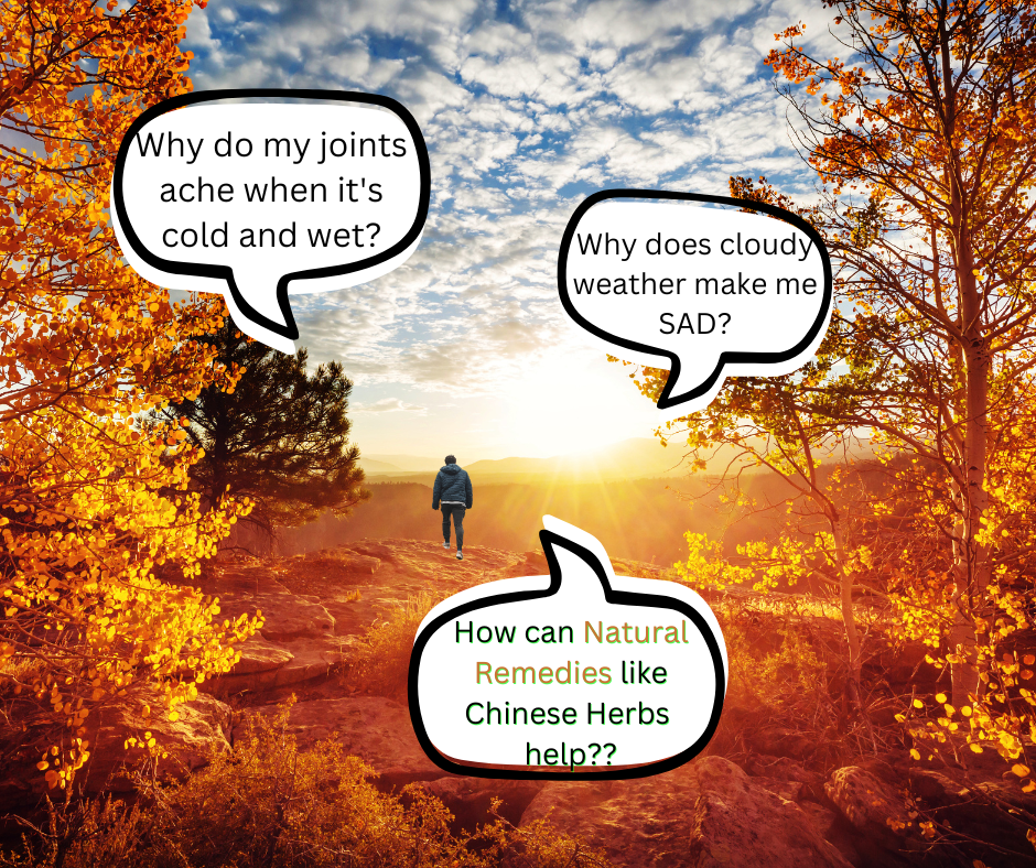 Fall Season & Your Health