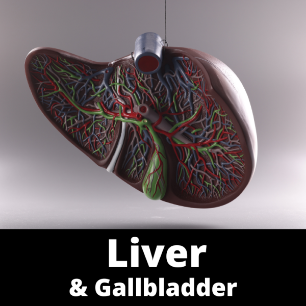 Liver & gallbladder organ system - category images - Chinese Herbal Medicine
