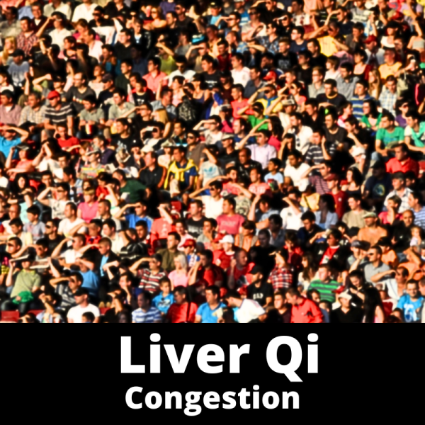 Liver Qi Congestion - Chinese Herbs - subcategory images