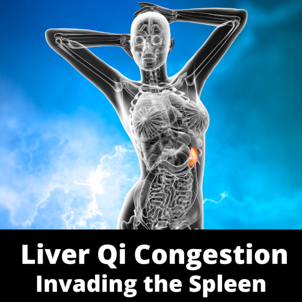 Liver Qi Congestion Invading the Spleen - Chinese Herbs - subcategory images
