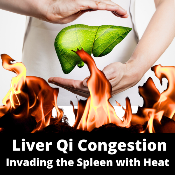 Liver Qi Congestion Invading the Spleen with Heat - Chinese Herbs - subcategory images