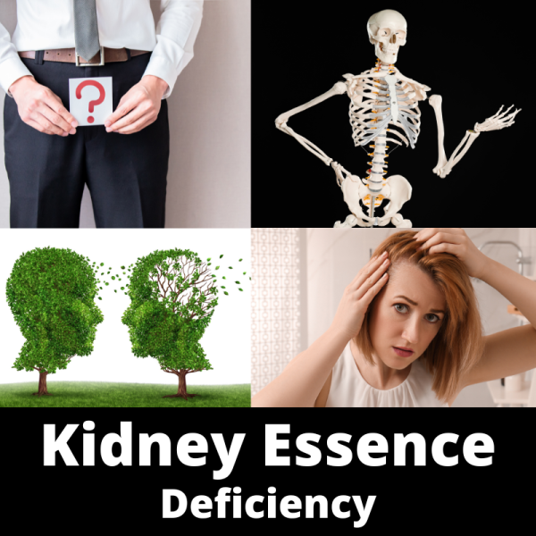 Kidney Essence Deficiency - Chinese Herbs - category sub images