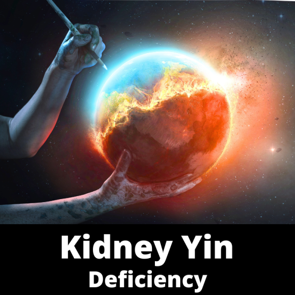 Kidney Yin Deficiency - Chinese Herbs - category sub images