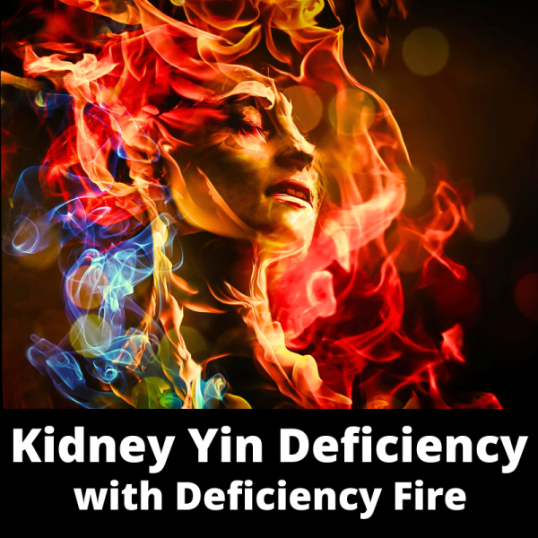 Kidney Yin Deficiency with Deficiency Fire - Chinese Herbs - category sub images