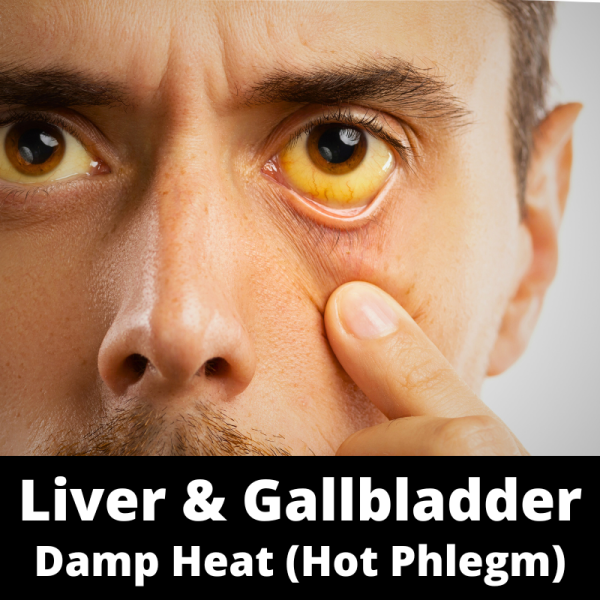 Liver & Gallbladder Damp Heat (Hot Phlegm) - Chinese Herbs - subcategory images