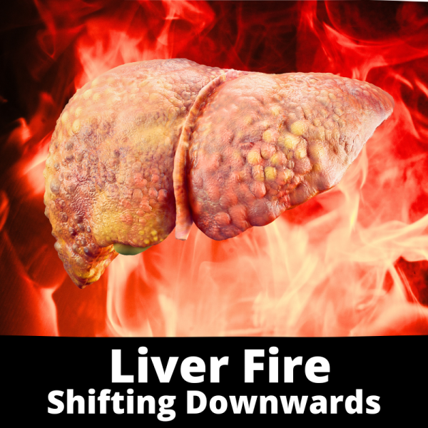 Liver Fire Shifting Downwards - Chinese Herbs - subcategory images