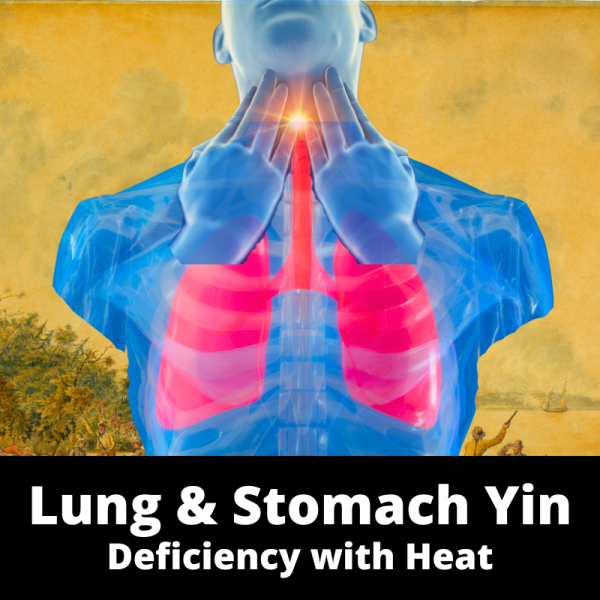 Lung & Stomach Yin Deficiency with Heat - Chinese Herbs - subcategory images