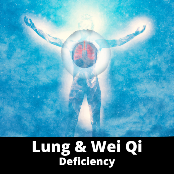 Lung & Wei Qi Deficiency - Chinese Herbs - subcategory images