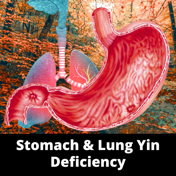 Stomach & Lung Yin Deficiency - Chinese Herbs - subcategory images
