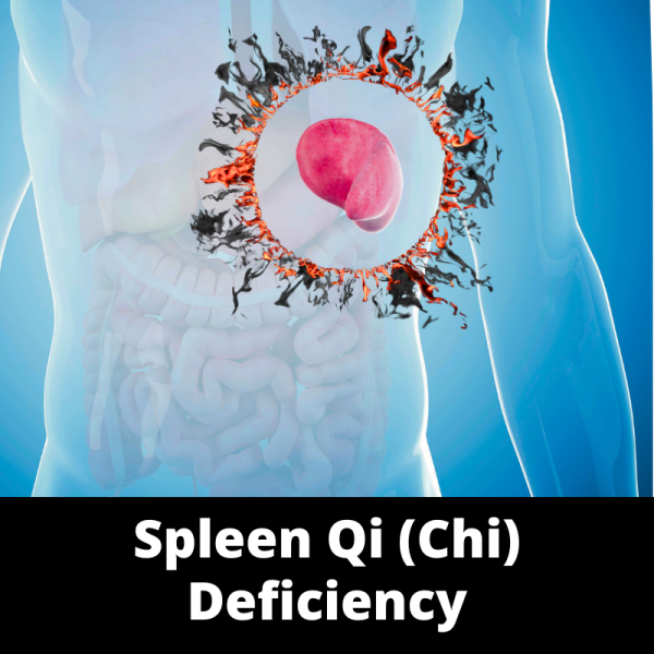 Spleen Qi (Chi) Deficiency - Chinese Herbs - subcategory images