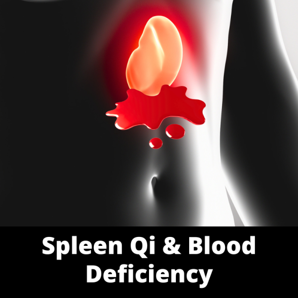 Spleen Qi & Blood Deficiency - Chinese Herbs - subcategory images