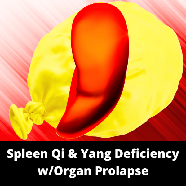 Spleen Qi & Yang Deficiency w/Organ Prolapse - Chinese Herbs - subcategory images