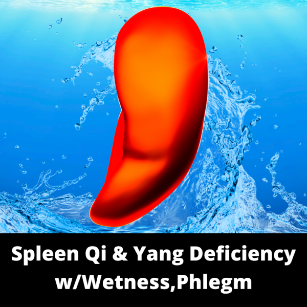 Spleen Qi & Yang Deficiency w/Wetness, Phlegm - Chinese Herbs - subcategory images