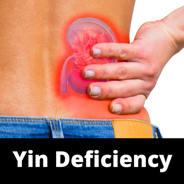 Yin Deficiency - Chinese Herbs - subcategory images