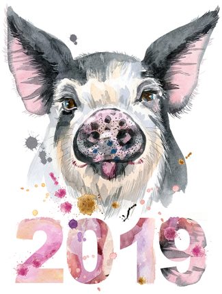 Cute piggy. Pig for T-shirt graphics. Watercolor pig in black spots illustration. New year 2019