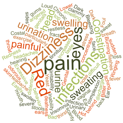 Liver Gallbladder Heart Fire patterns.wordcloud