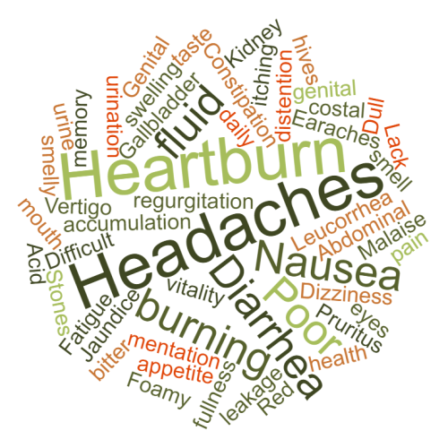 gallbladder disharmonies.wordcloud